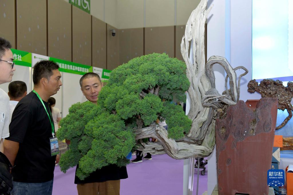 手机赌钱游戏